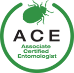 ACE Certified